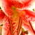 :icontwisted-aura: