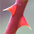 :icontwisted-sb: