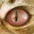 :icontwisteddreamss:
