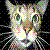 :icontwistedmindsasylum: