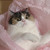 twistedpianist :icontwistedpianist: