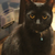 TwistedSomething :icontwistedsomething: