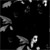 :icontwistedtintedtrees: