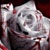 :icontwistedunknown: