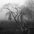 :icontwistedvictorian: