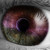 :icontwitch8:
