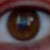 :icontwitchkitty:
