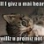 :icontwizzlers11: