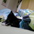:icontwlve: