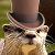 :icontwo-bitt: