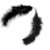 :iconTwo-feathers: