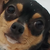 :icontwobitlover: