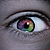 :icontwoformysecond: