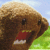 :icontwopock:
