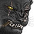 :icontwotailswolf: