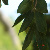 :icontwoworlds-apart: