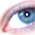 :icontwyla-willow: