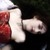 :icontwylightfaerie: