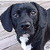 :icontxphotog: