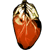 :iconTy-Calibre: