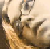 :iconty-chan-baka-neko: