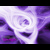 :icontyca-souza: