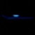 :icontychotma-1: