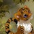 :icontygerbud:
