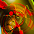 :icontygerM: