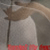 :icontygerofdanyte: