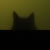 :icontygershore: