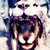 :icontygrysu-wrx-sti: