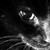 :icontyke220: