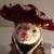 :icontyler-bram: