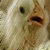 :icontyler808: