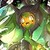 :icontylerthehedgehog45: