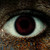 :icontymara-puschi: