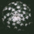 :icontype-manager: