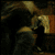 :icontypewritersandtulips: