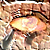 :icontyphoid13: