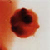 :icontyphoidandswans: