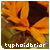 :icontyphoidbriar: