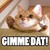 :icontyphorus: