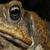 :icontypicaltash: