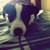 :icontypograsmic:
