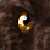 :icontyriagris: