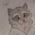 :icontyrintheraccoon: