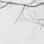TYshangshan :icontyshangshan: