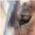 :icontysonphotography: