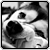 :icontyz: